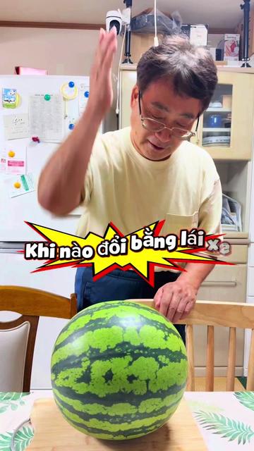 @My Oda 🇻🇳🇯🇵