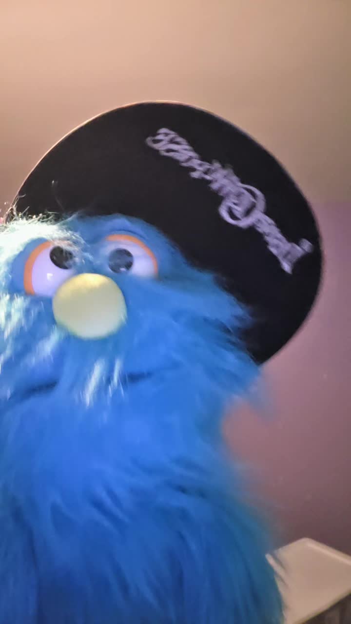 @🃏pickelrick/ juggalo Muppet🤡