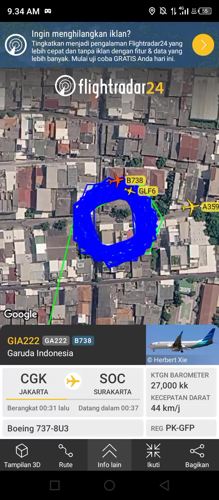 @★F-Avgeek★