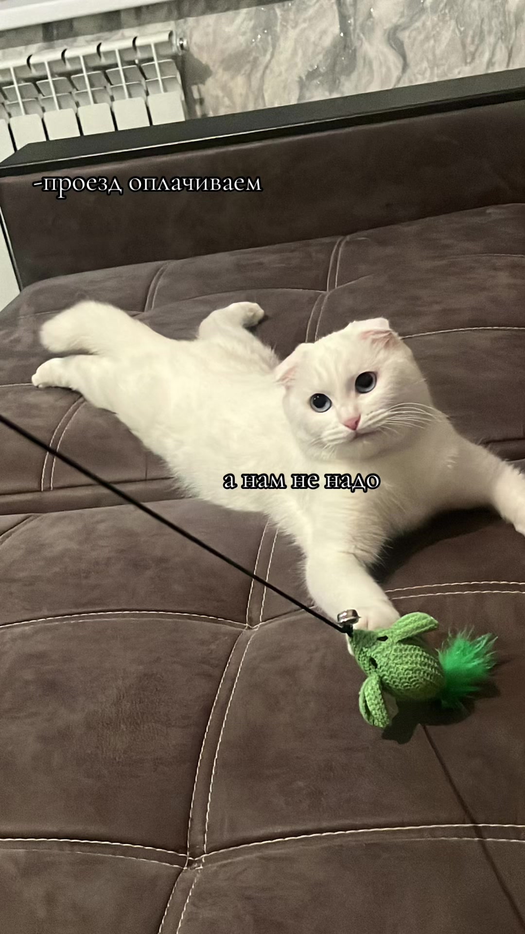 @Рузик🇵🇸❤️
