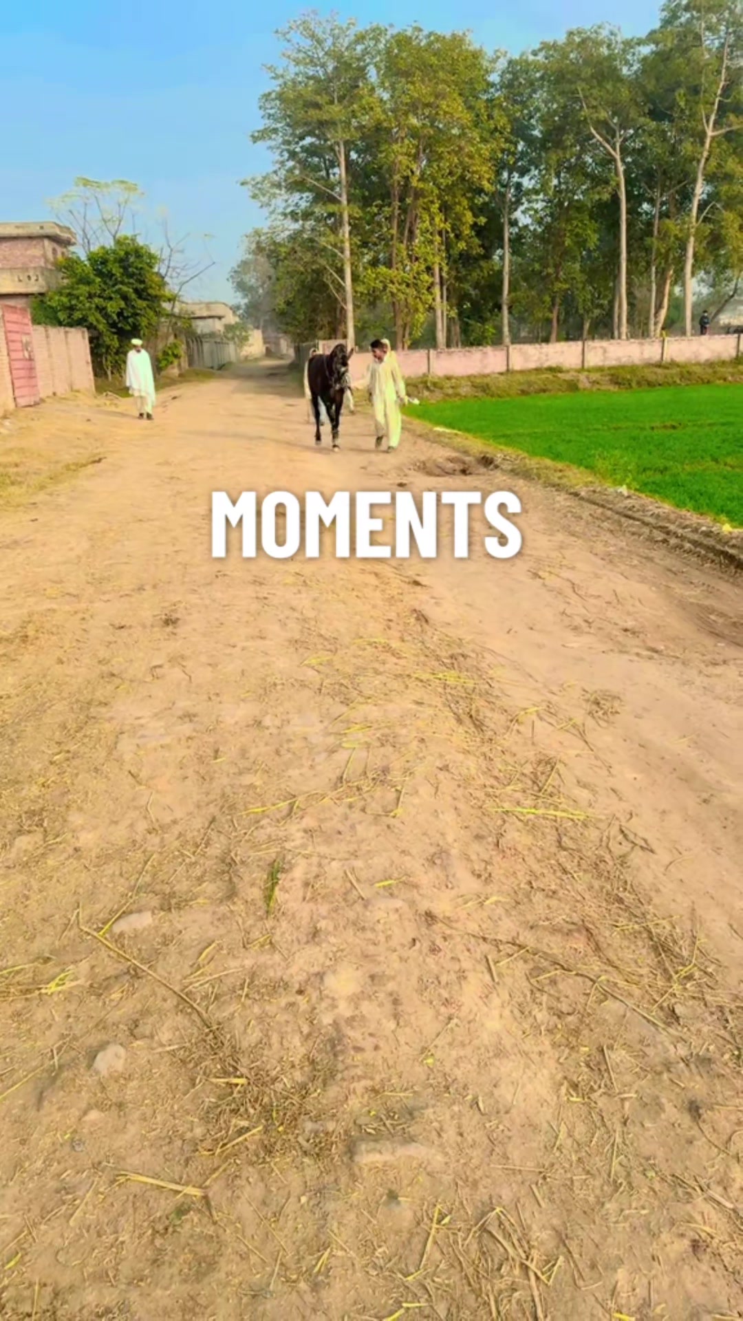 @tasawarsandhu