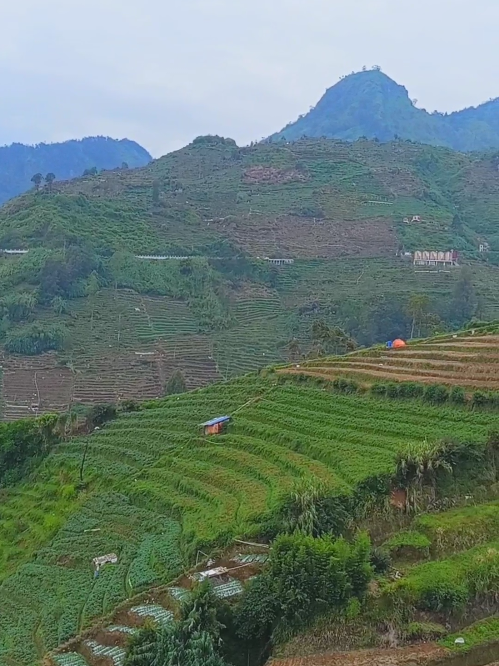 @jaka swara