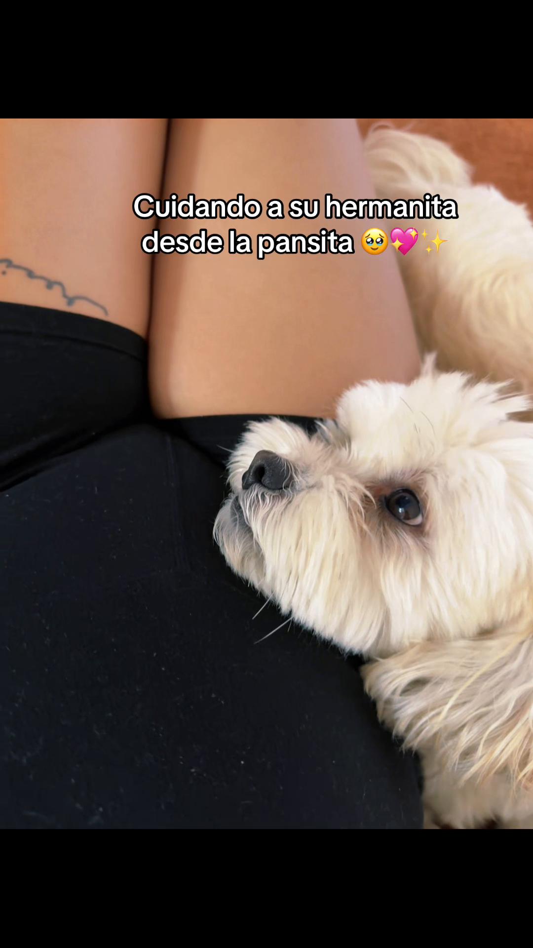@iamnotpaolalopez