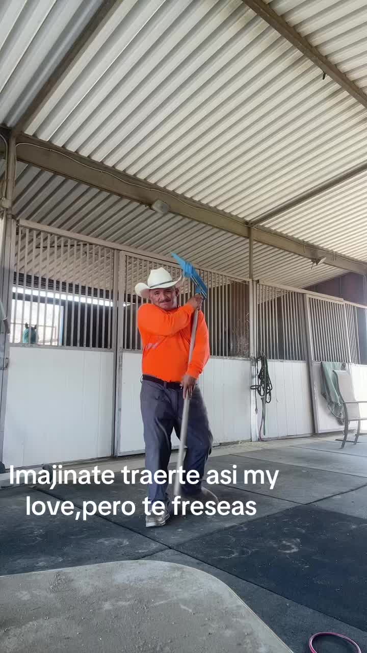 @pedrito