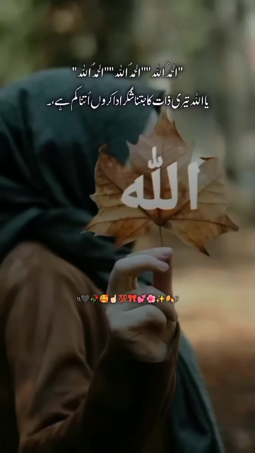 @sadafnazia