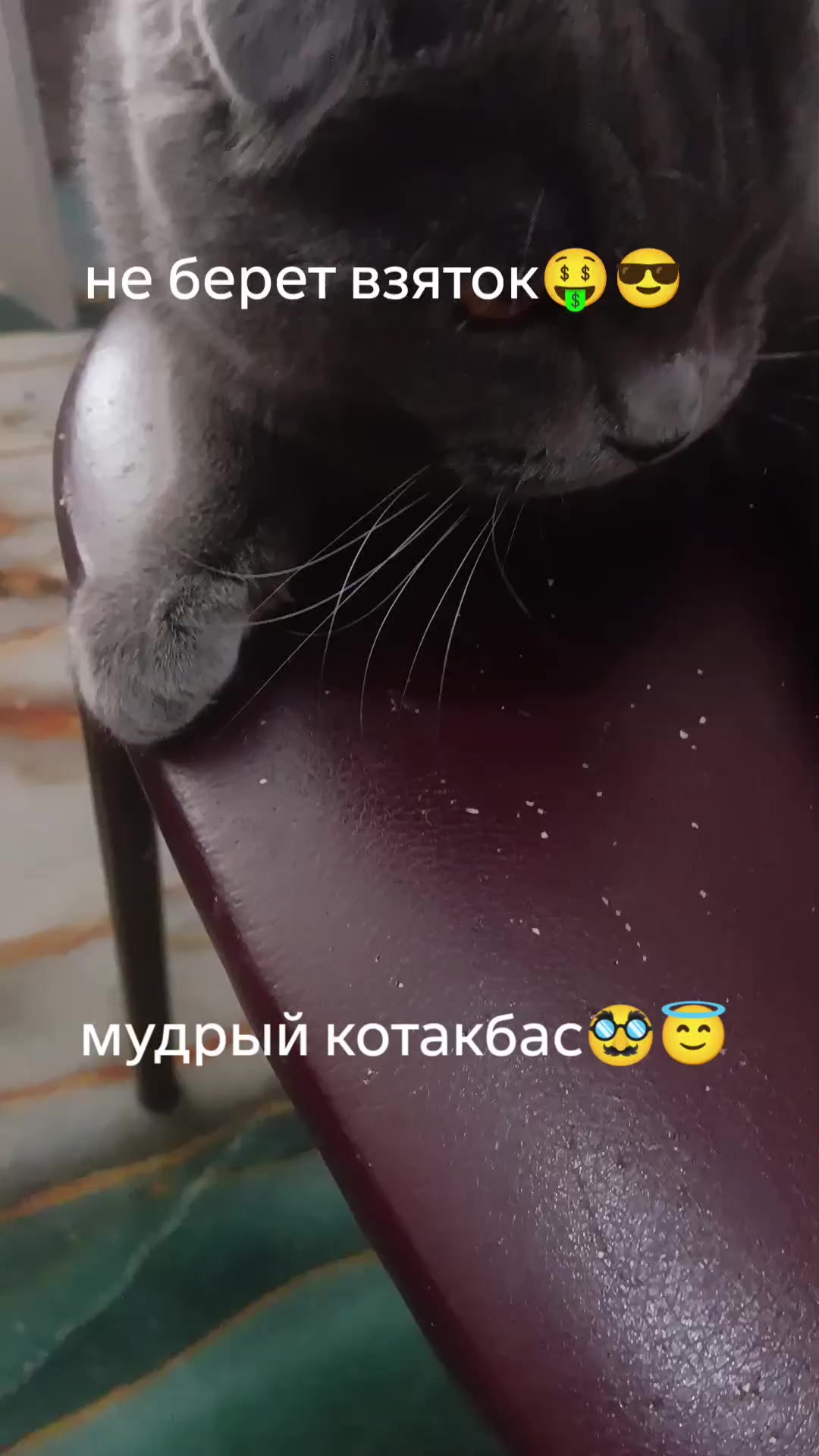 @Страус Магаданский