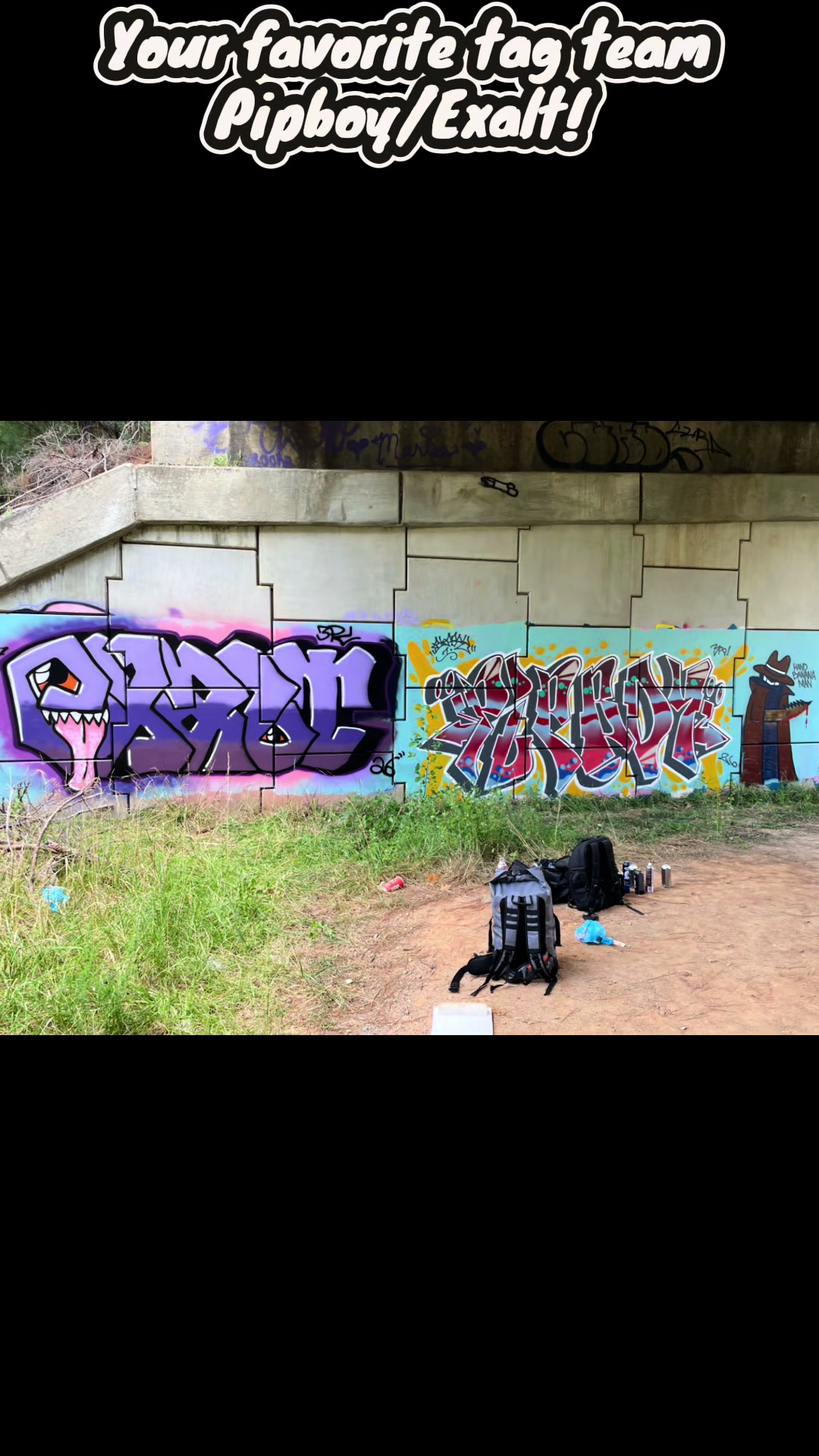 @Exalt3PC