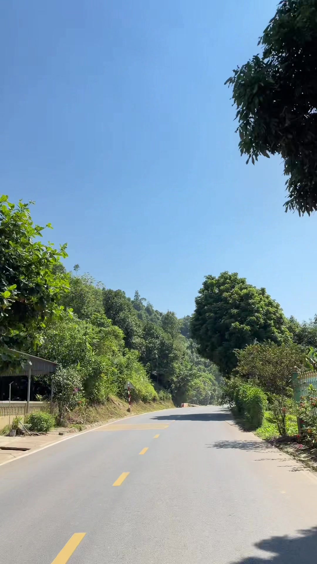 @hahautrailrunner