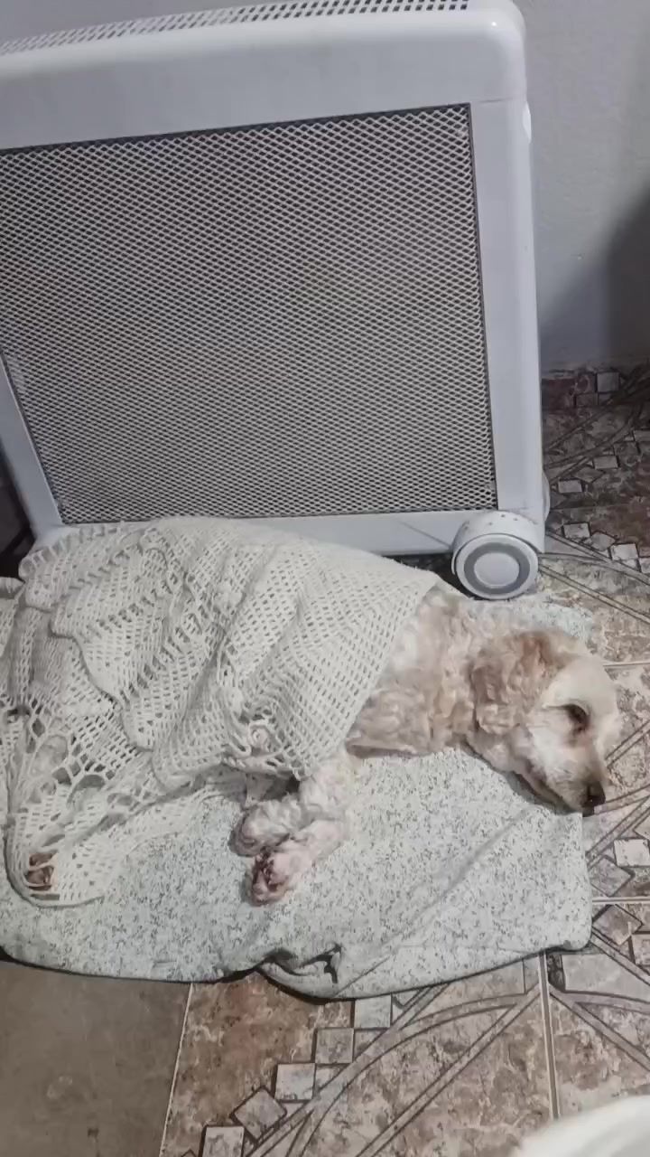 @Pri Bustos