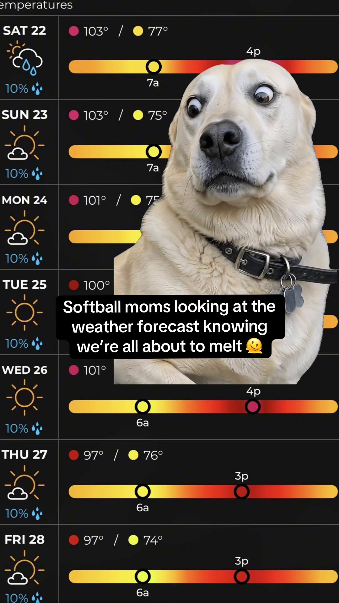 @Violet’s Softball Journey 2k19