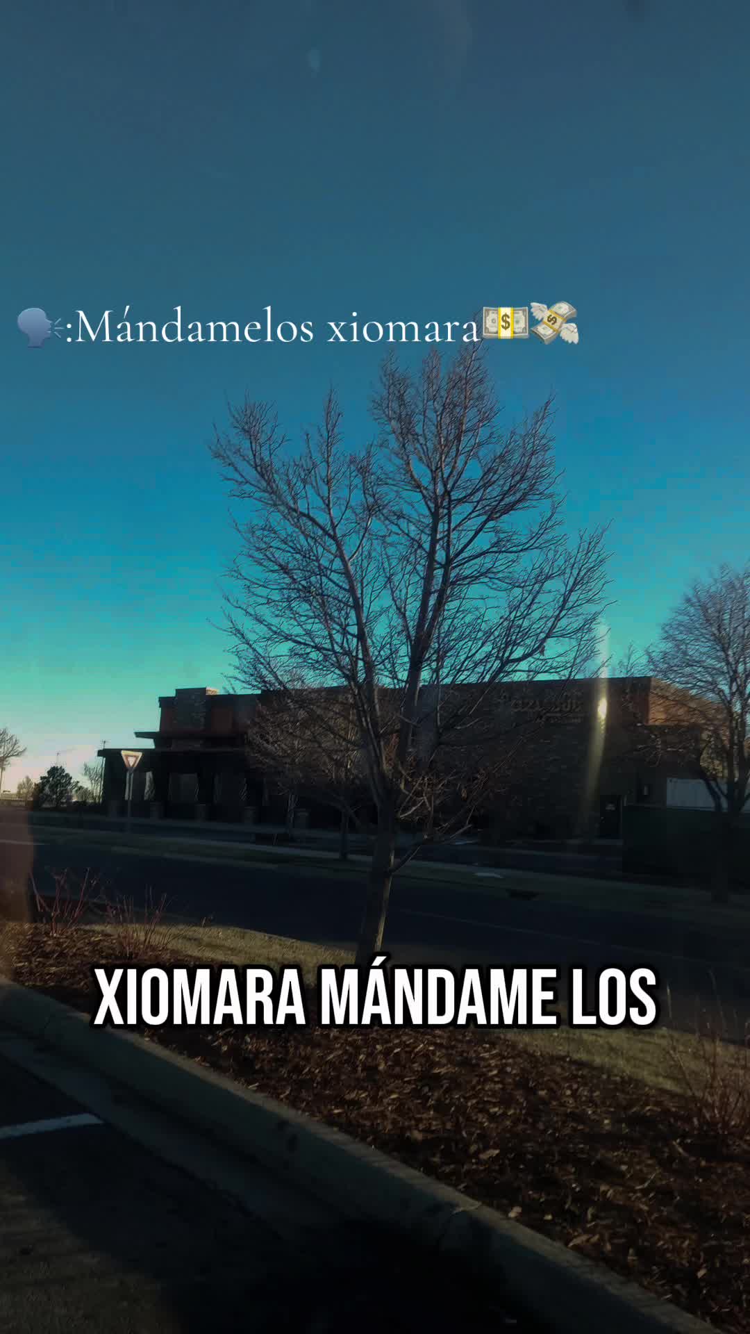 @elvinpalma