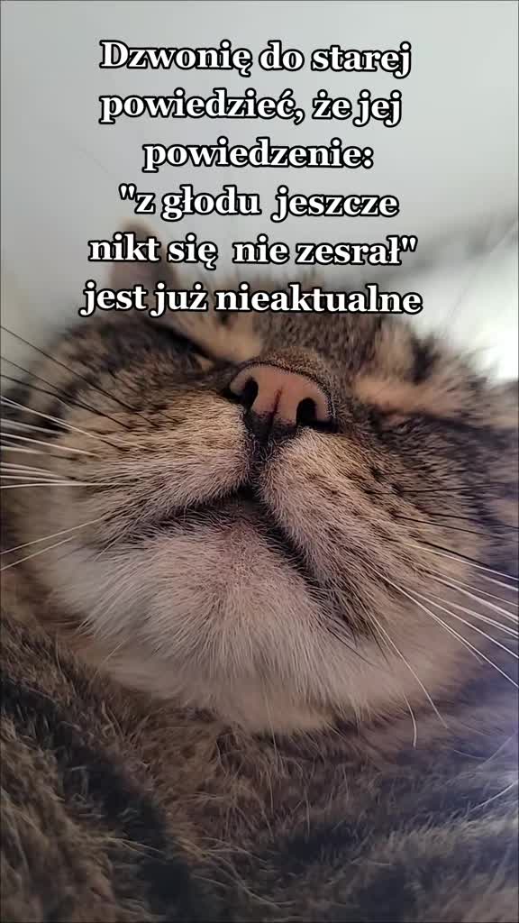 @😻Ekipa Świrka 😻