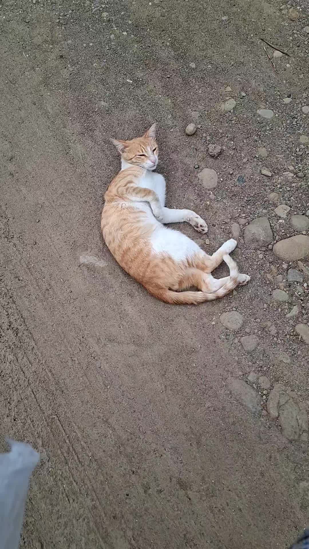 @hər günümüzə şükür