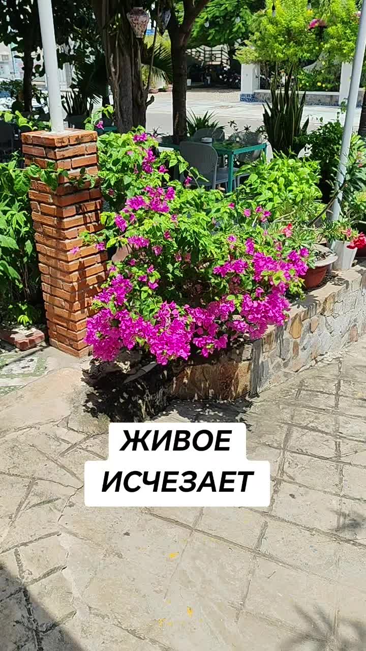 @живу не зря