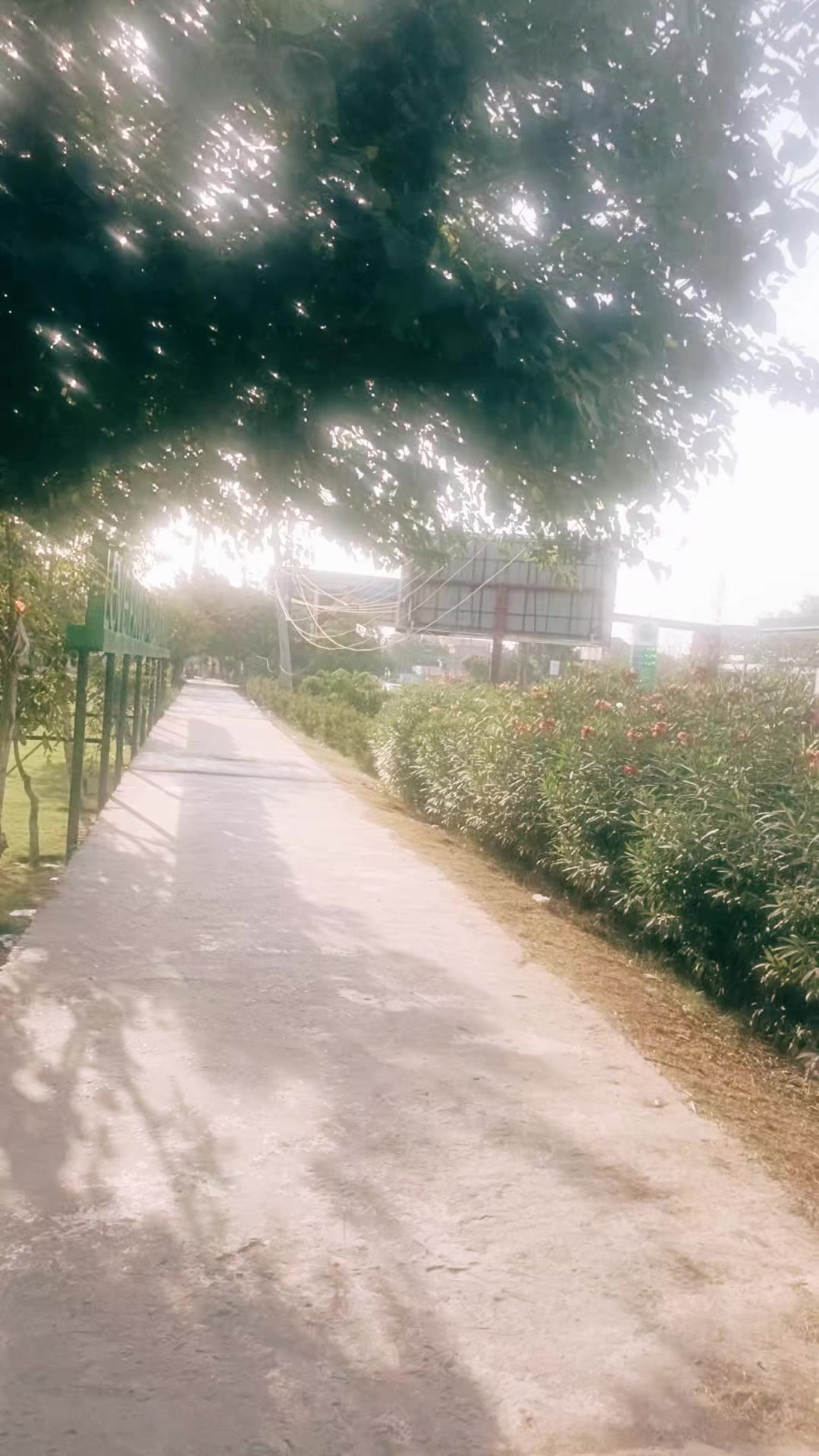 @rajitiktok.com/@raji36313