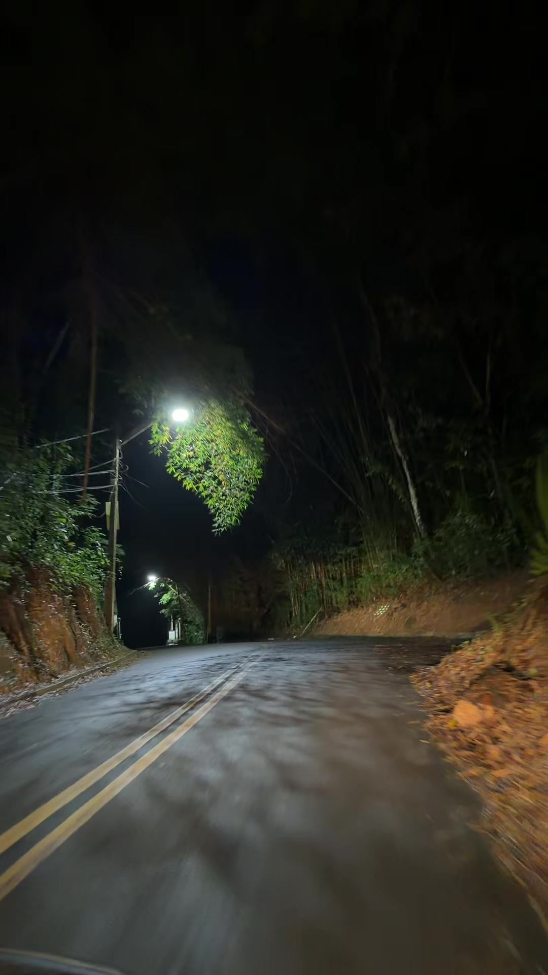 @guaramiranga verde