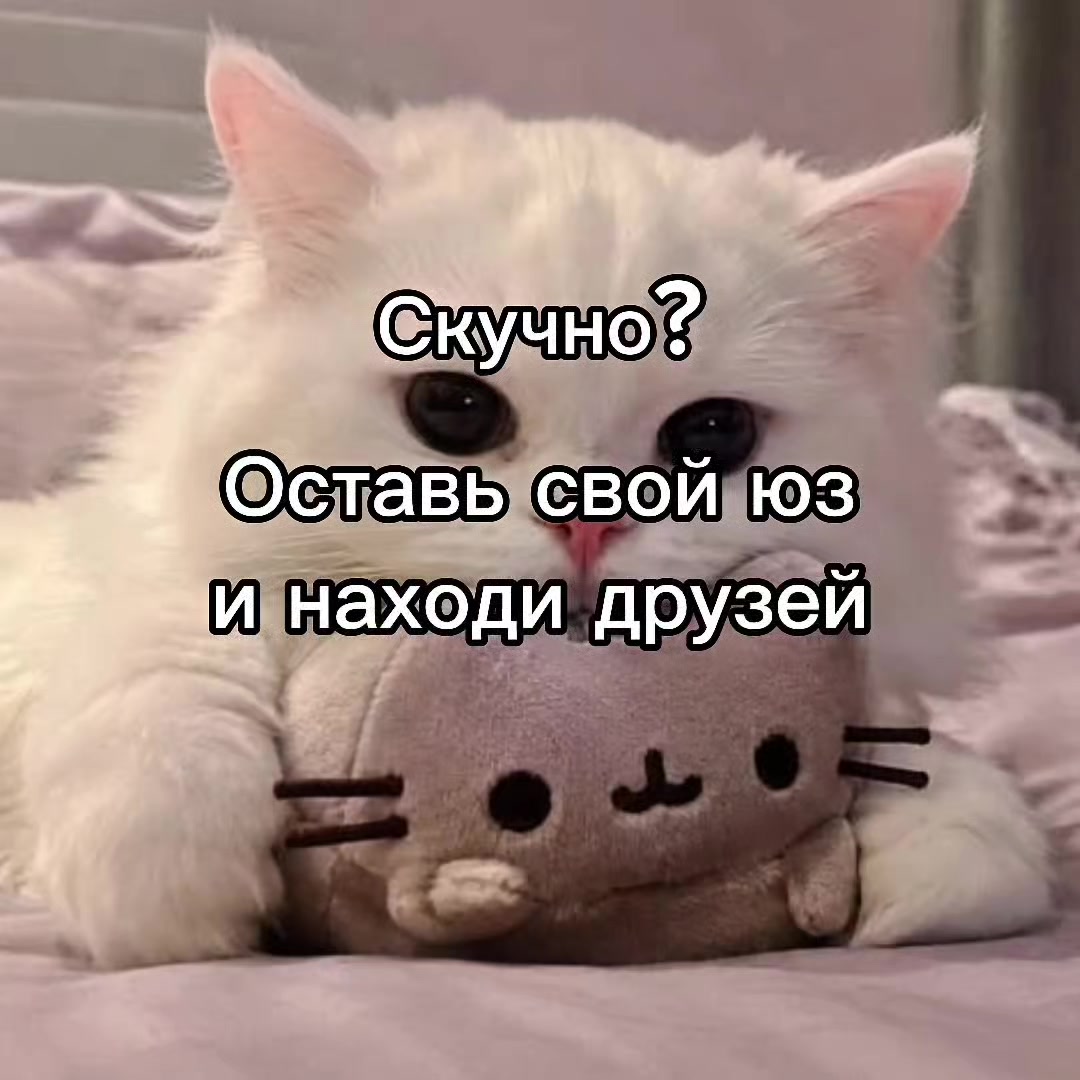 @mivrac