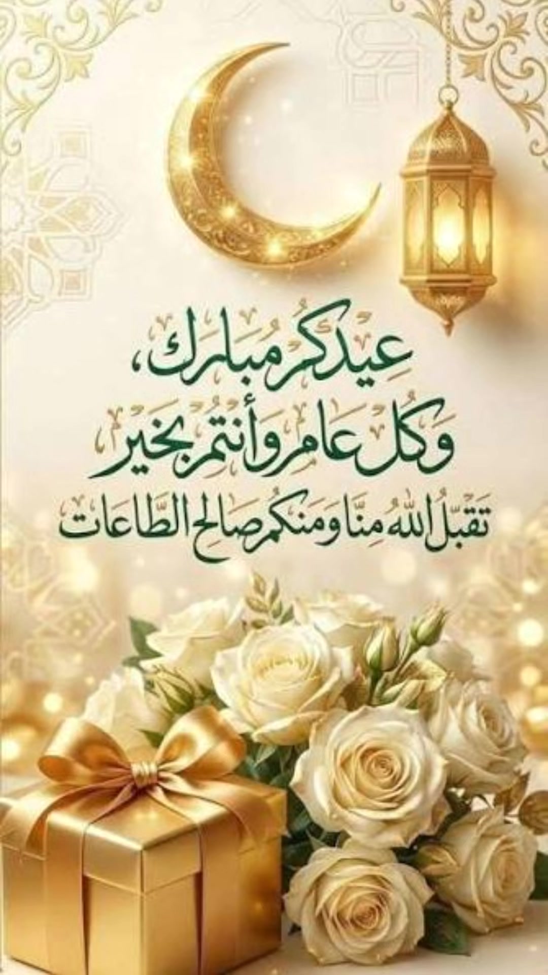 @halima naim