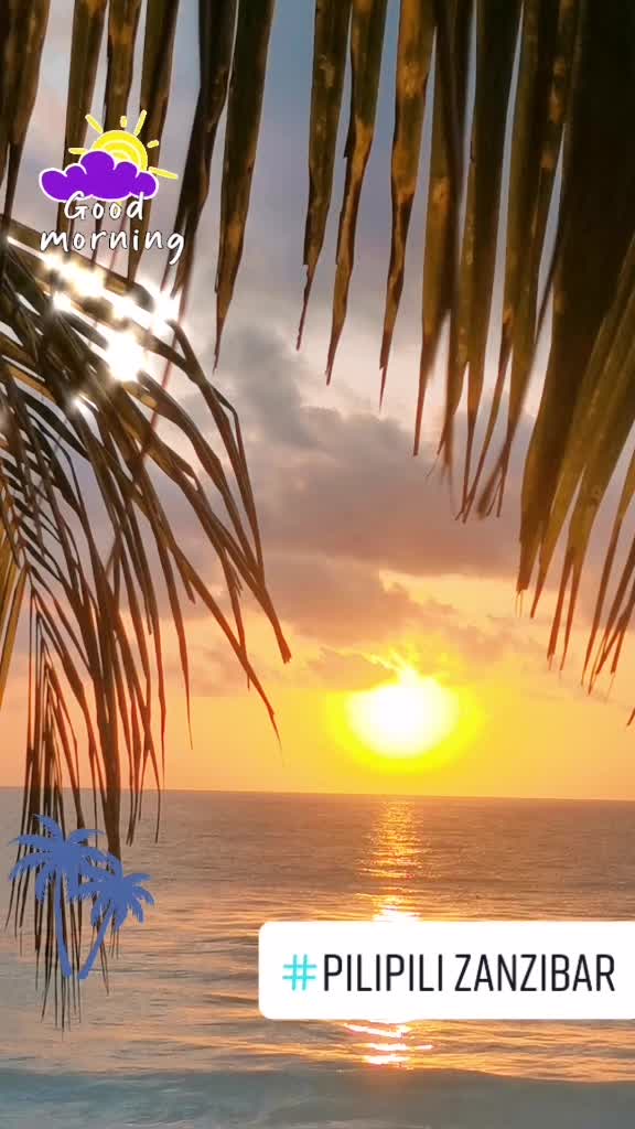 @PiliPili Zanzibar
