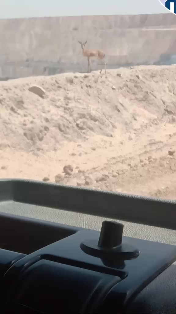 @2020