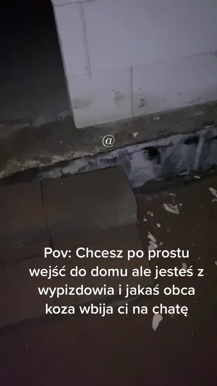 @quietbeginning_