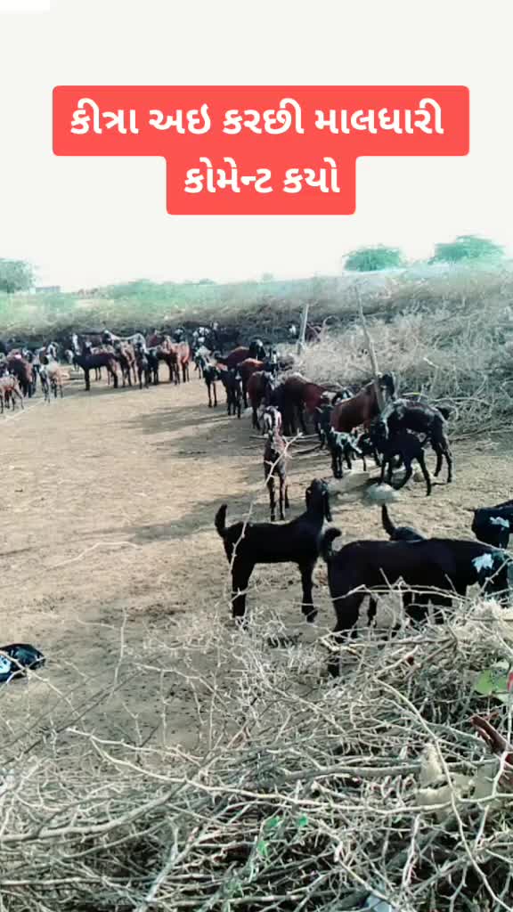 @SK___માલધારી
