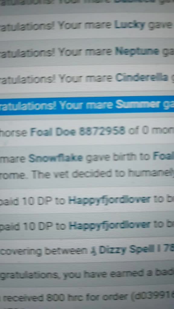 @horse reality
