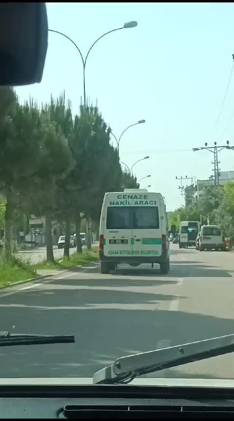 @Songül Pamuk