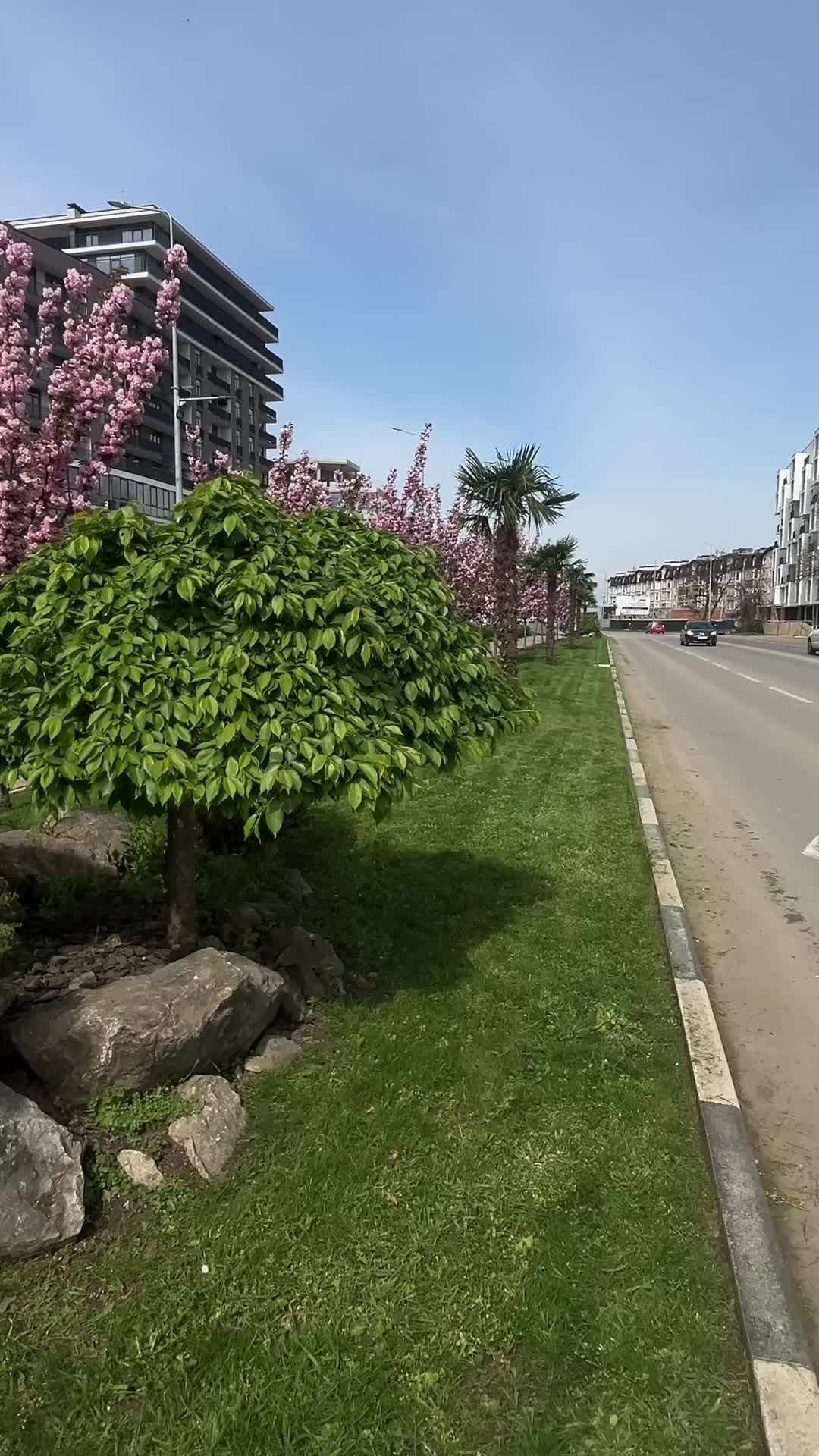 @Made in Uzhhorod