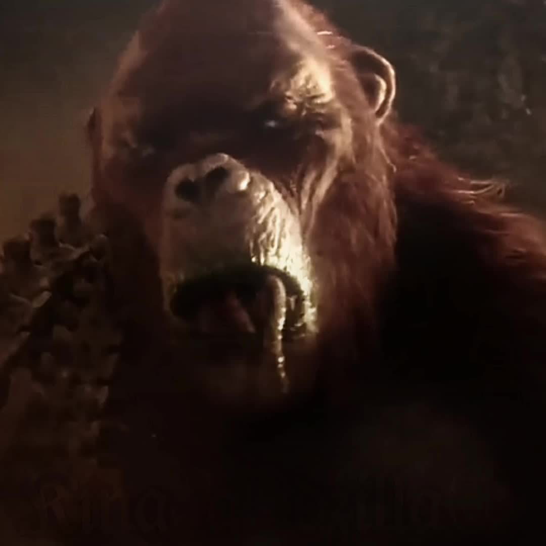 @キング[Godzilla] ゴジラ