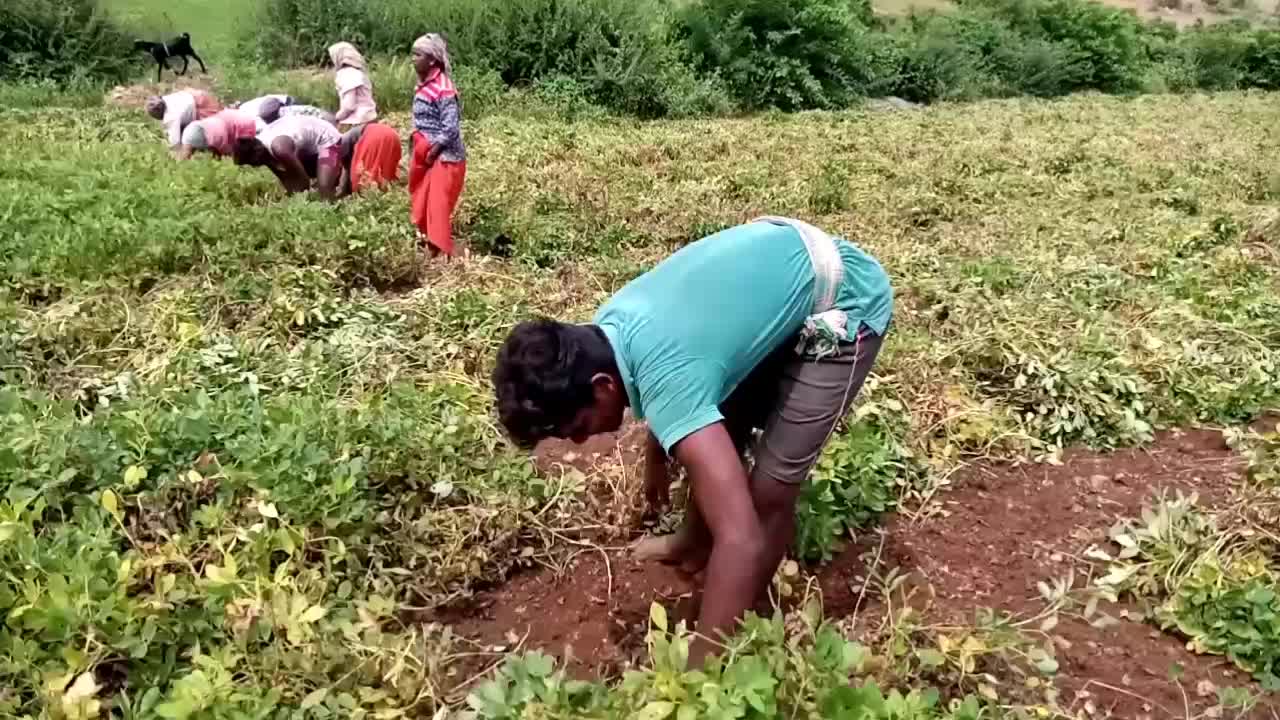@user4000806606397
