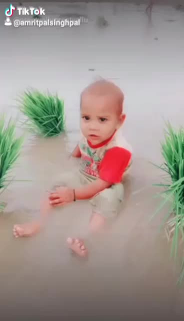 @Amrit Pal Singh Pal
