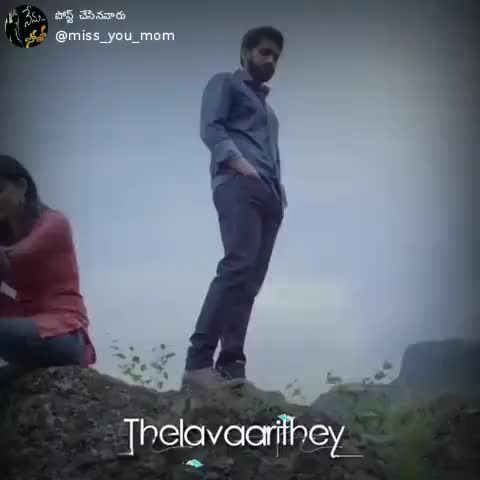 @user1543741302302