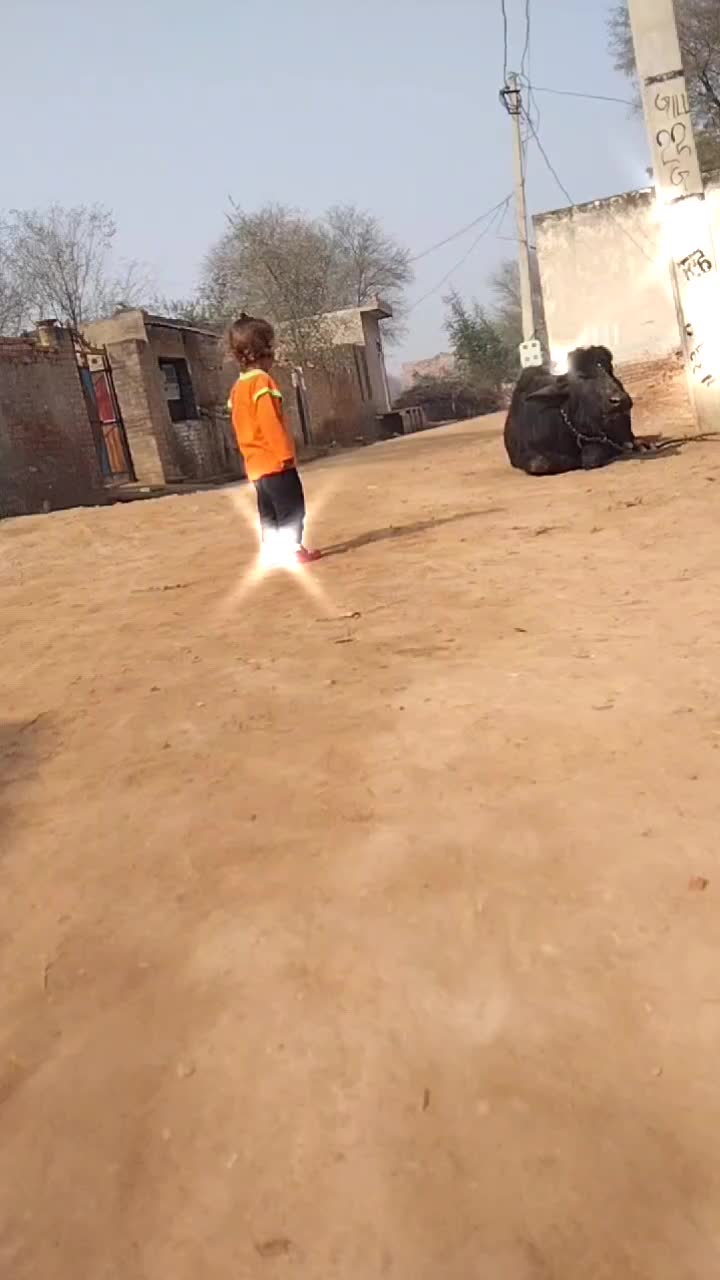 @Rinku