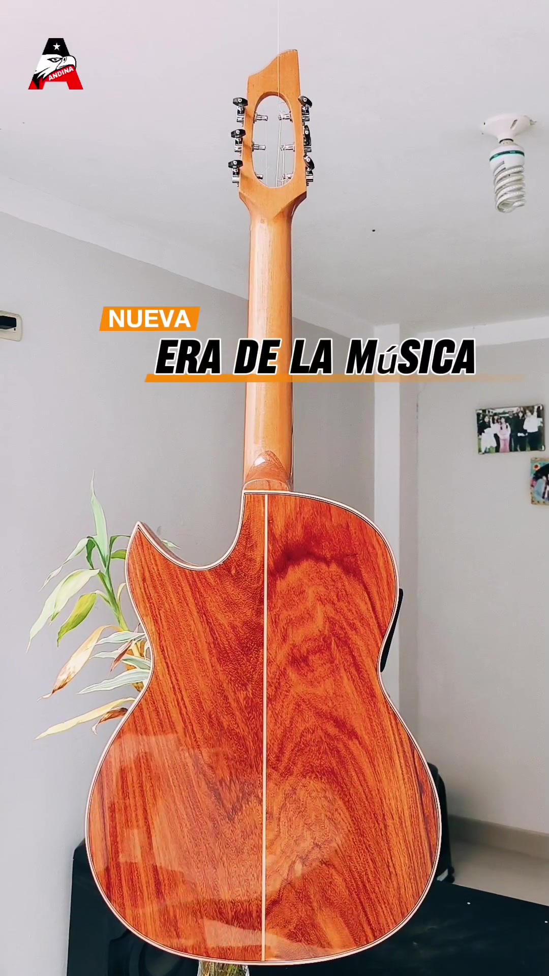 @Guitarras Andina