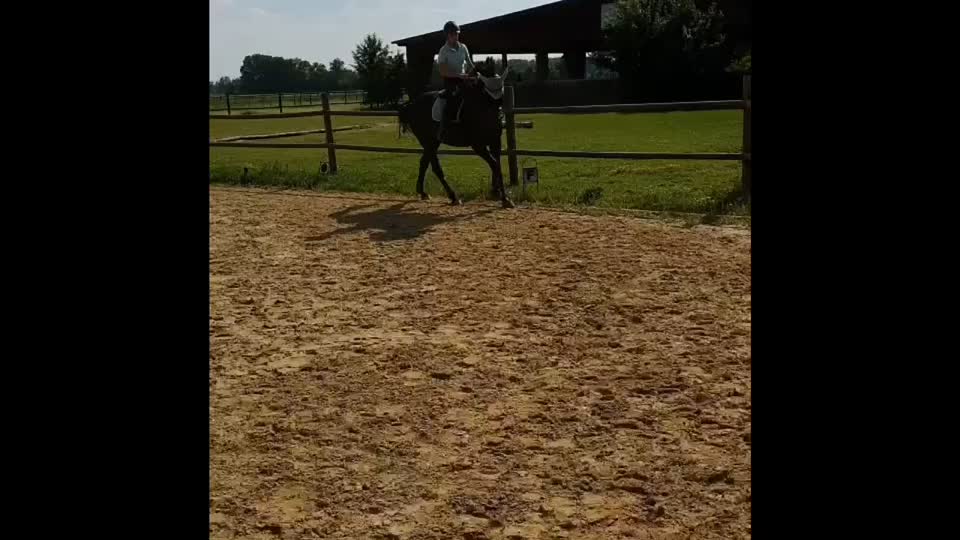 @My.soulhorse❤️🥺✌🏻