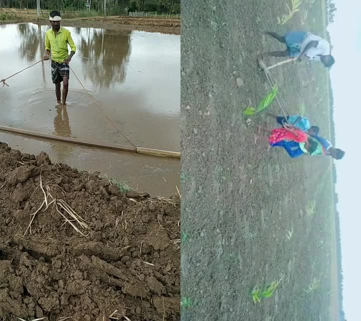 @Venkatesh Naik H
