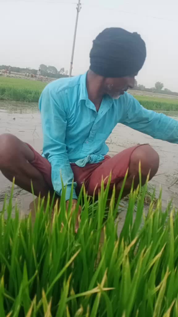 @balkaran chohan