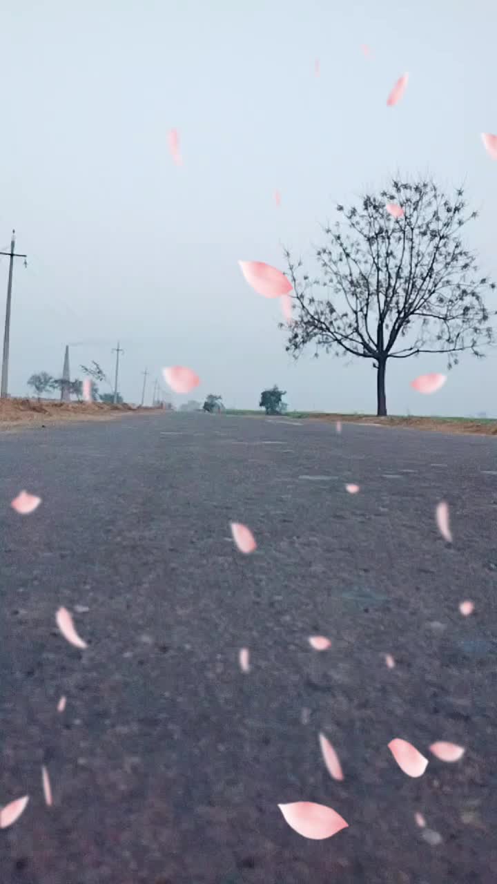 @Rinku