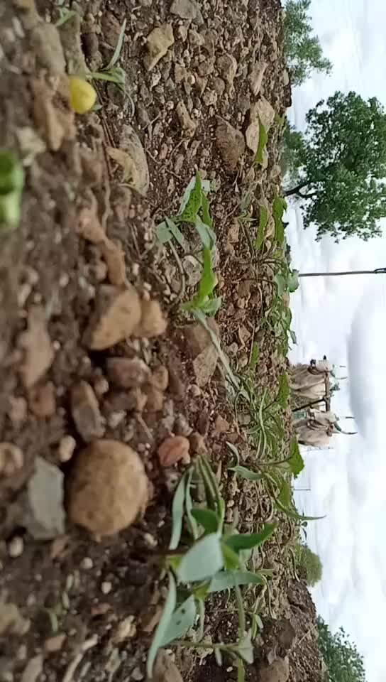 @अशोक नागरगोजे