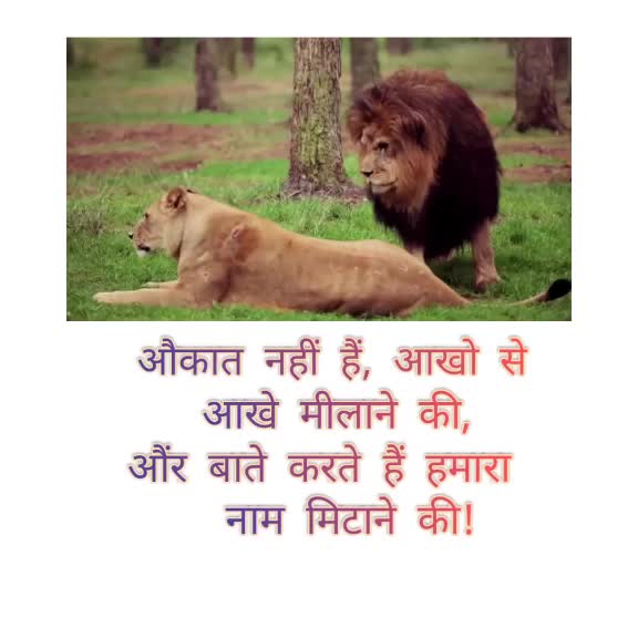 @✨⚡aniruddha⚡✨