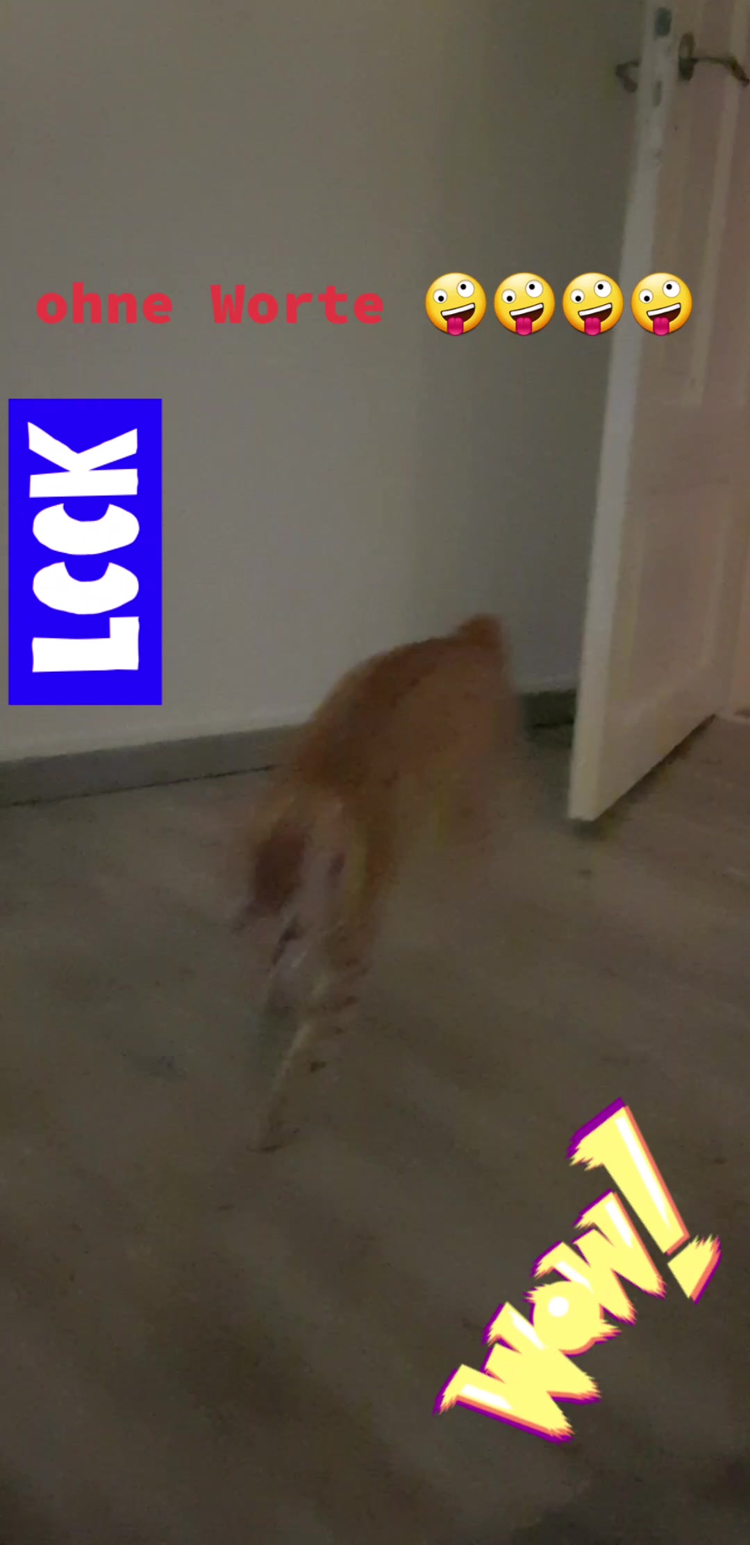 @Geowaan