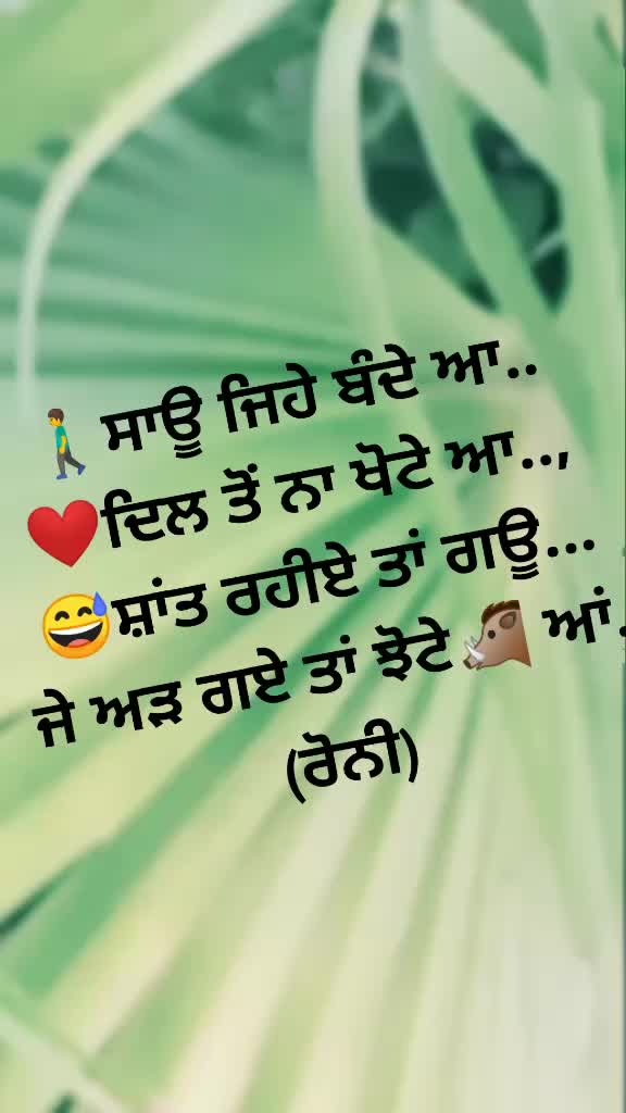 @Roni Pal