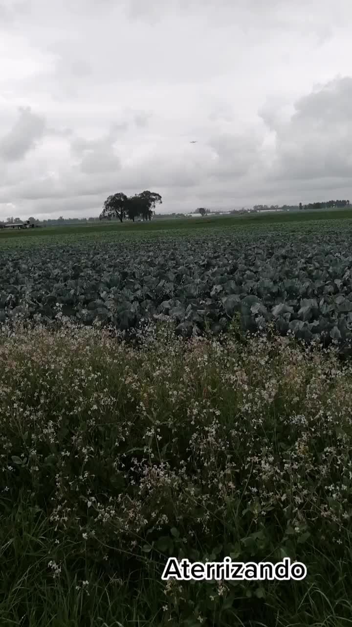@luisomarfuentesve