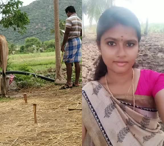 @user4483093019518