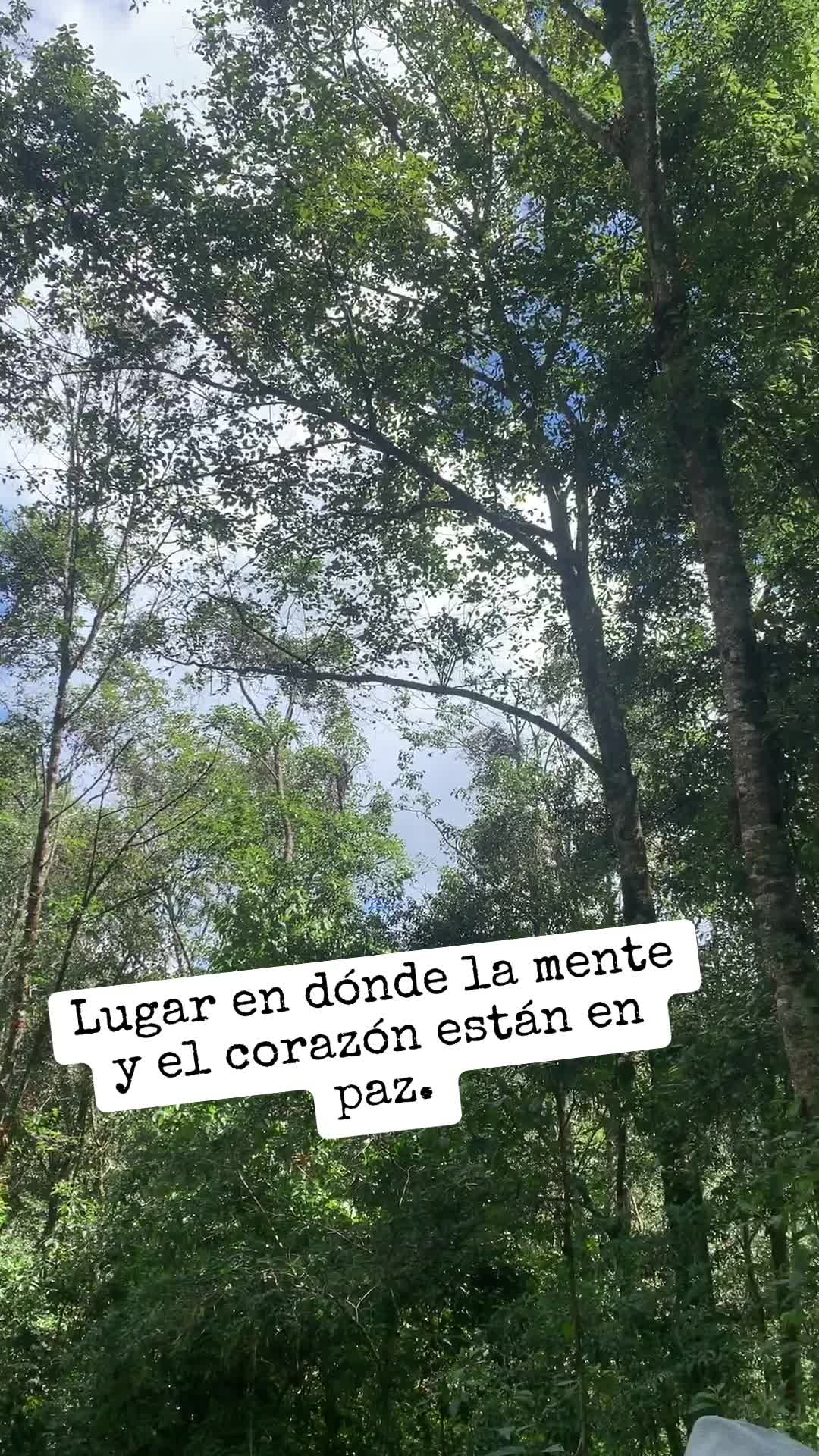 @Yaneth Brito
