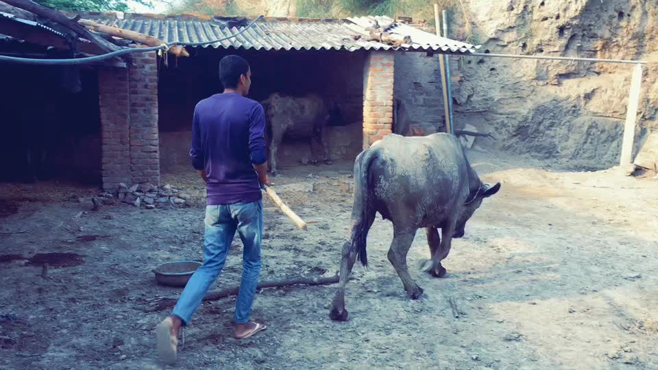@user239047800672