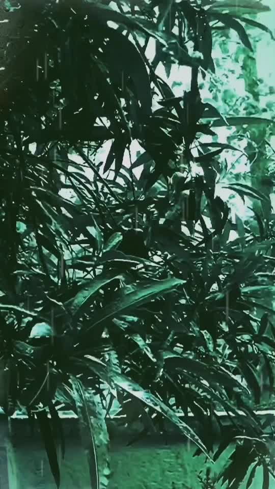@SwathyShambu