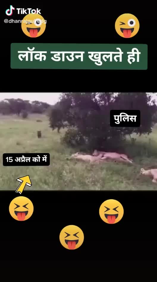 @Nilofer Delhiwala