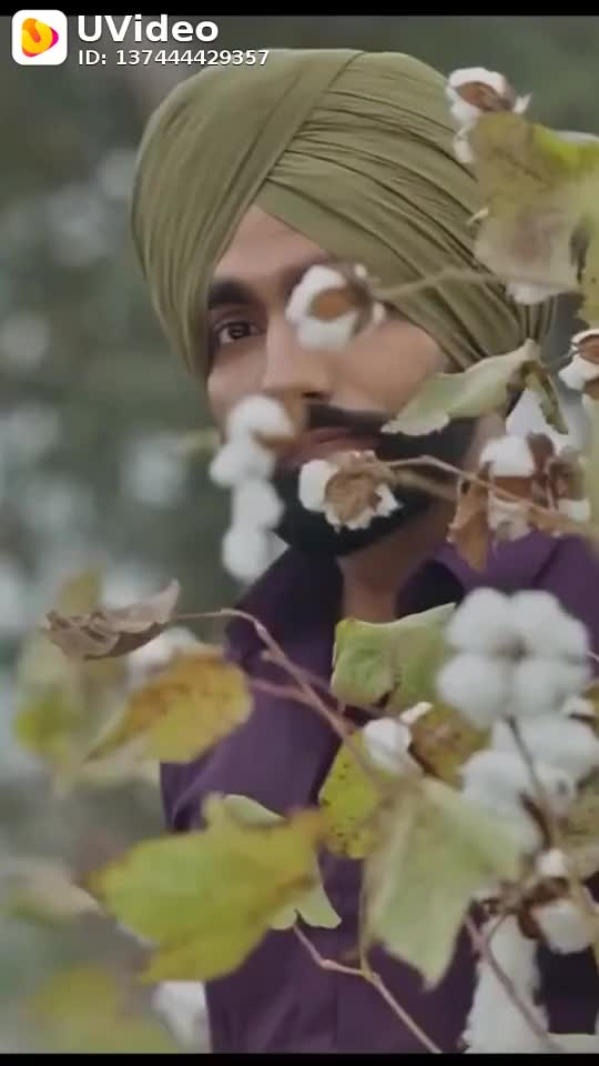 @Dilair Ansari
